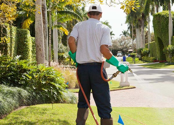 About Amherst MA Pest Control Pros